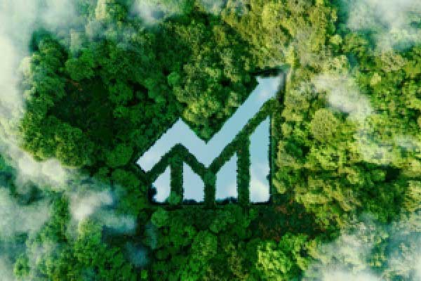 硬核支撑基孔肯雅热防控！华大智造T1+测序仪破译病毒全貌